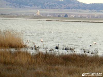 Daroca Salvaje_Gallocanta-Pinsapar de Orcajo; hornachuelos cordoba valle de estos cascada gujuli rio